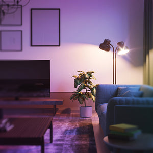 Smarte LED Leuchtmittel für dein Zuhause