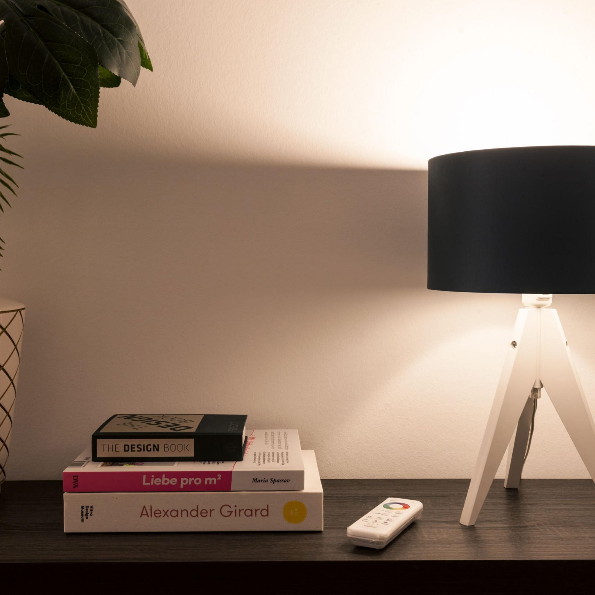 Starter Set, 2x smarte LED-Birne E27 + Fernbedienung