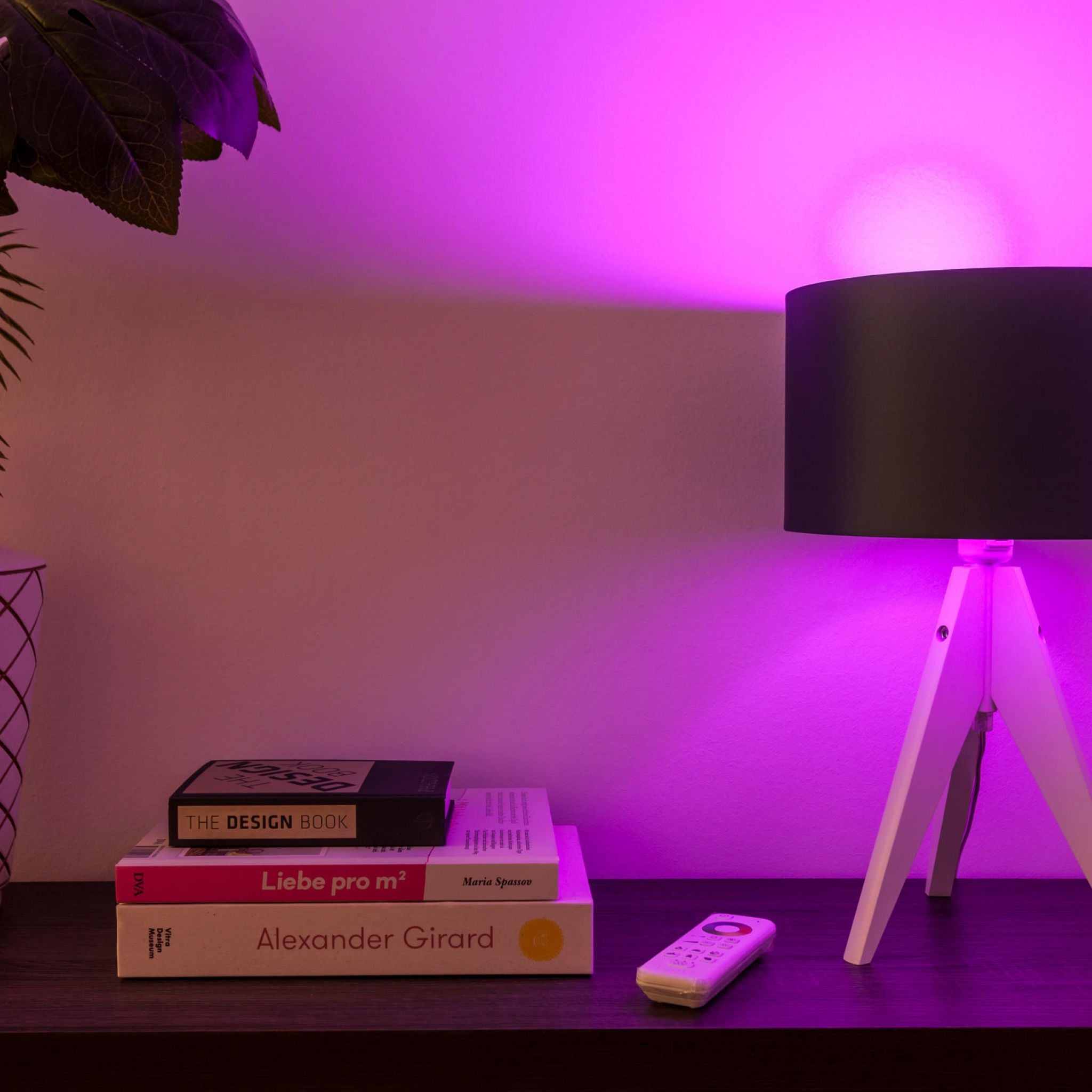 Starter Set, 2x smarte LED-Birne E27 + Fernbedienung