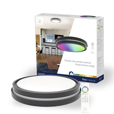 Smarte LED-Deckenleuchte Kea, 42 cm