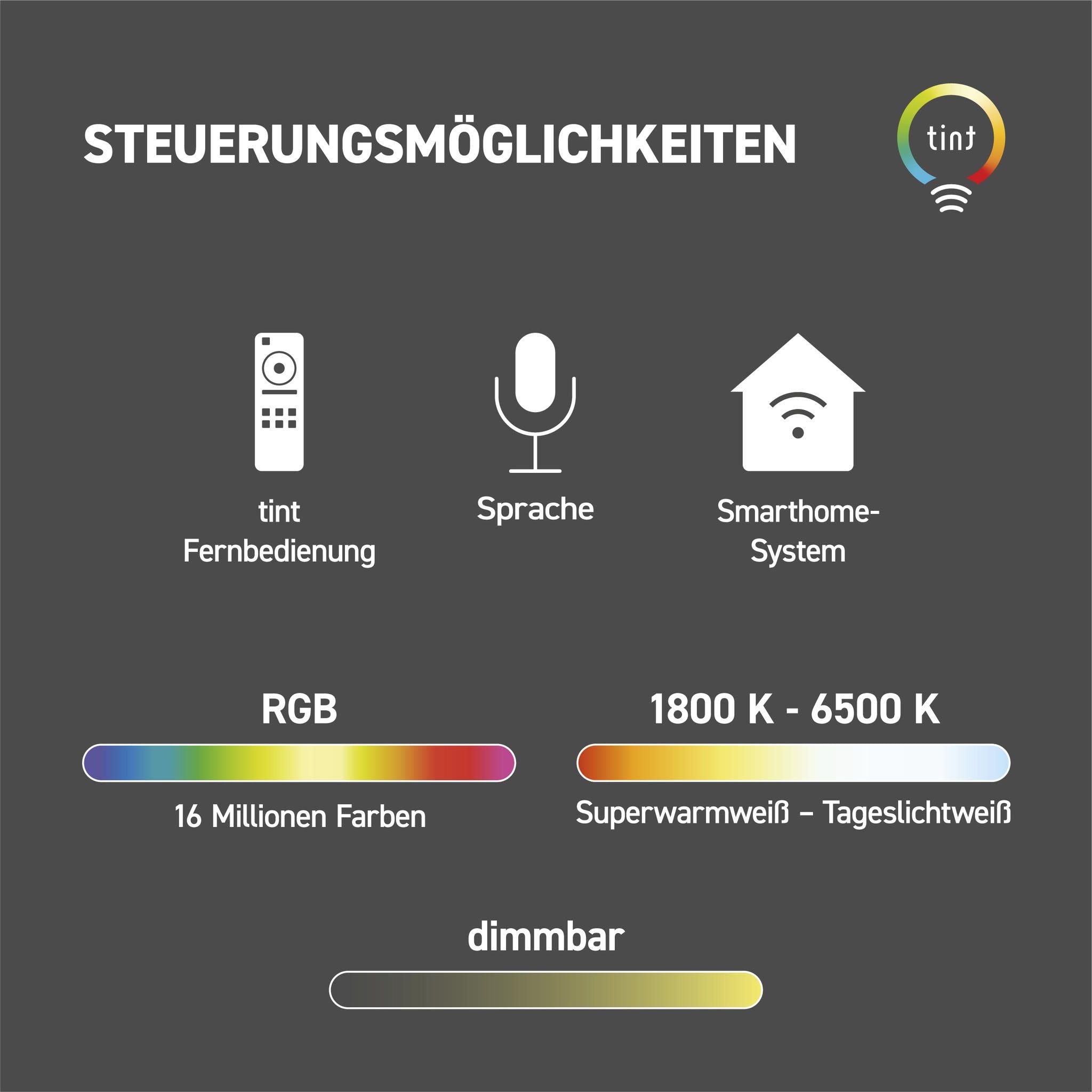 Smarte LED-Leuchtkugel Calluna Solar, 25cm