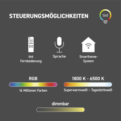 Smarter Outdoor LED-Gartenspot Flores XL
