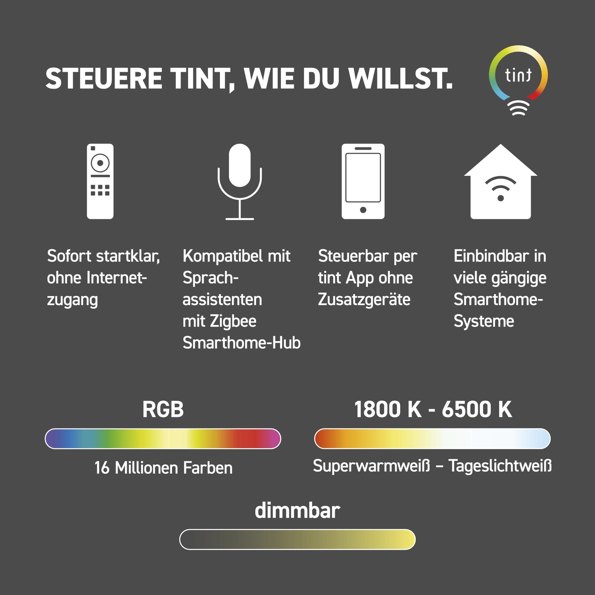 Smarte Outdoor LED-Lichterkette Stella Starter-Set (12 Birnen)