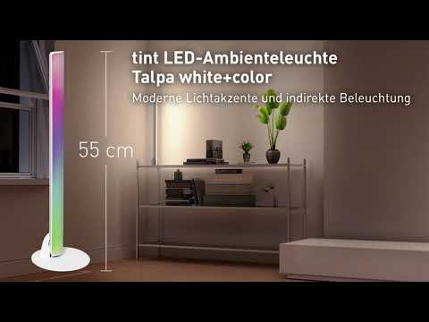 LED-Innenraumbeleuchtung ▷ vielseitige Produkte